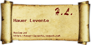 Hauer Levente névjegykártya